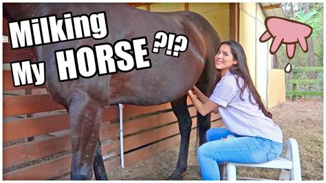 hourse porn|Horse Porn Videos 